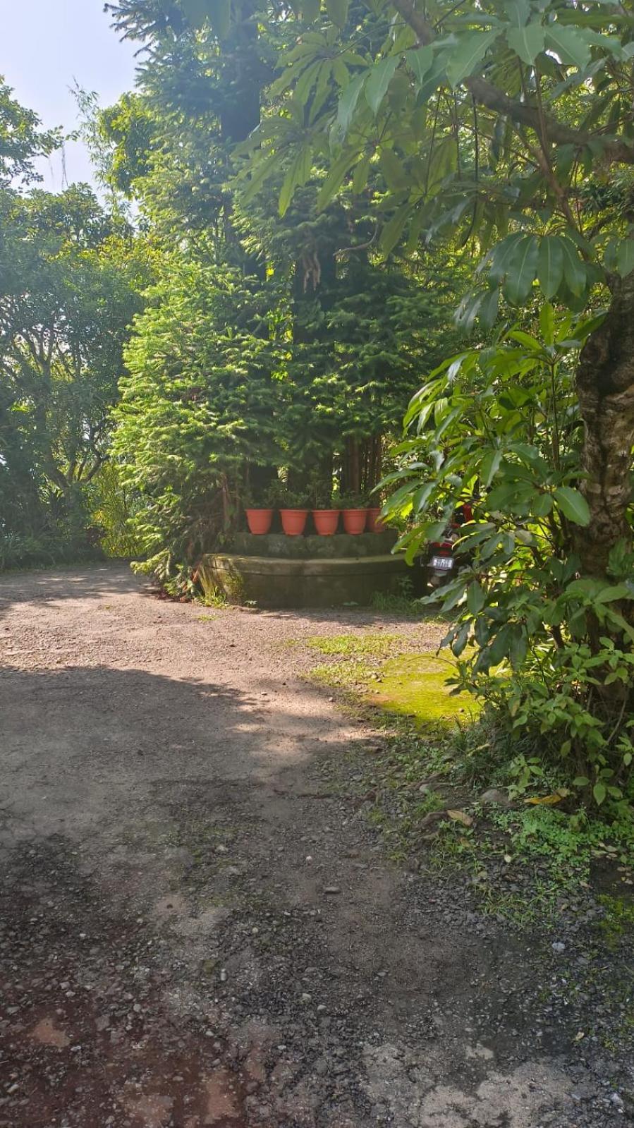 Aam'S Courtyard Hotel Kalimpong Eksteriør billede
