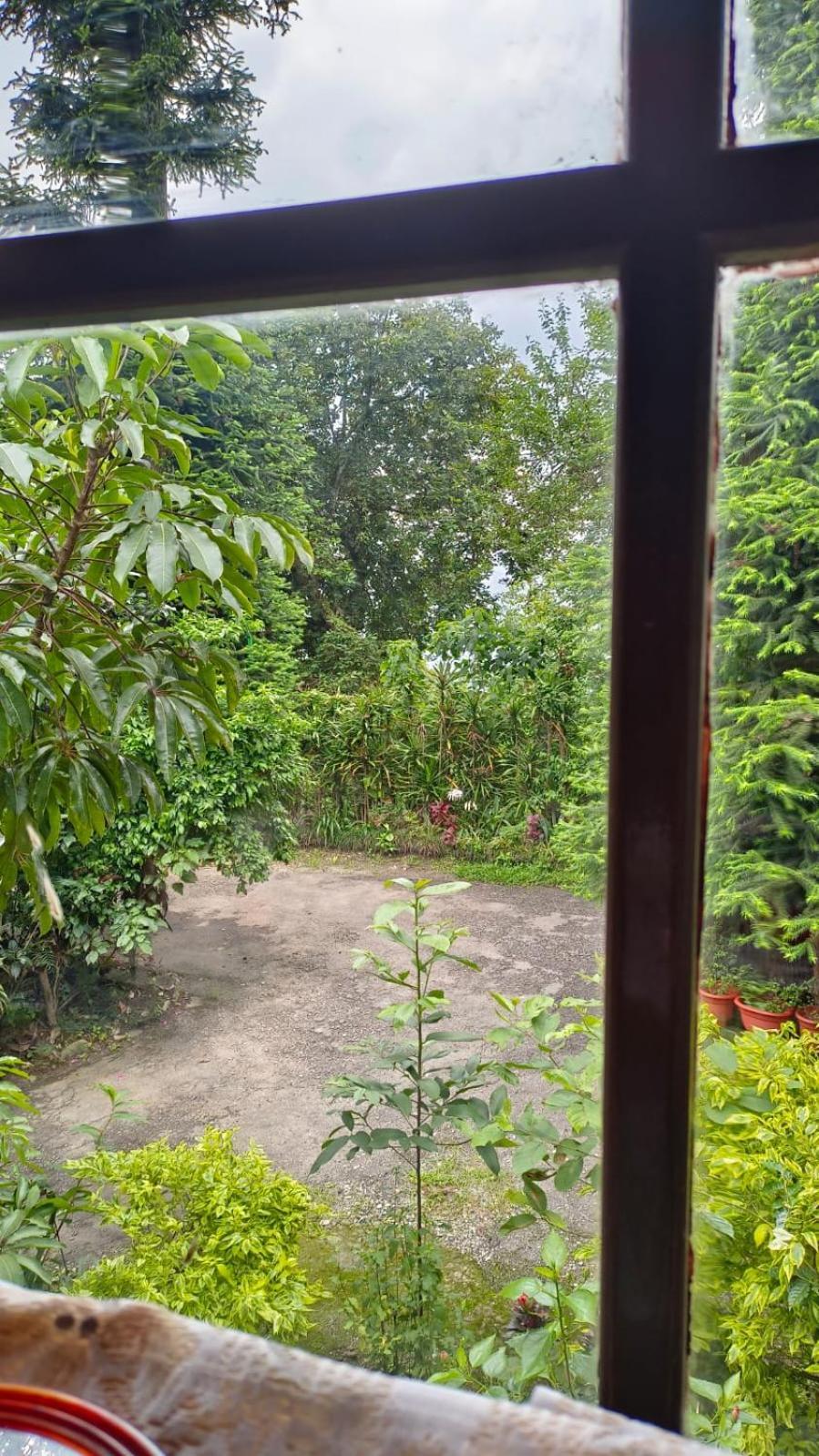 Aam'S Courtyard Hotel Kalimpong Eksteriør billede