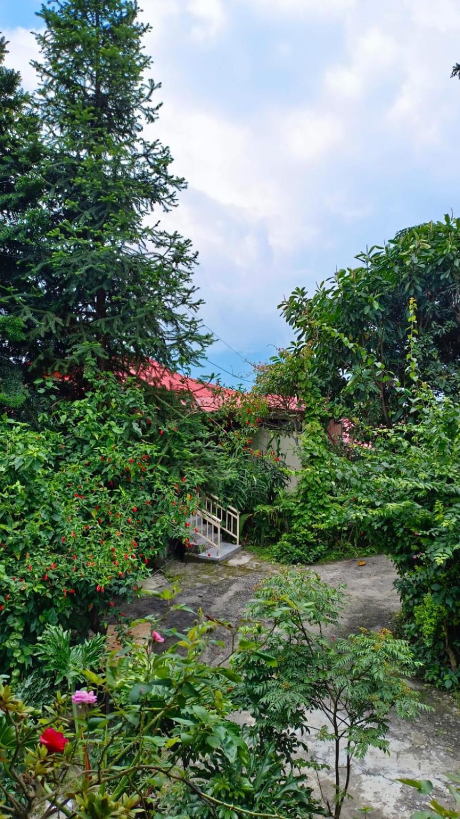 Aam'S Courtyard Hotel Kalimpong Eksteriør billede